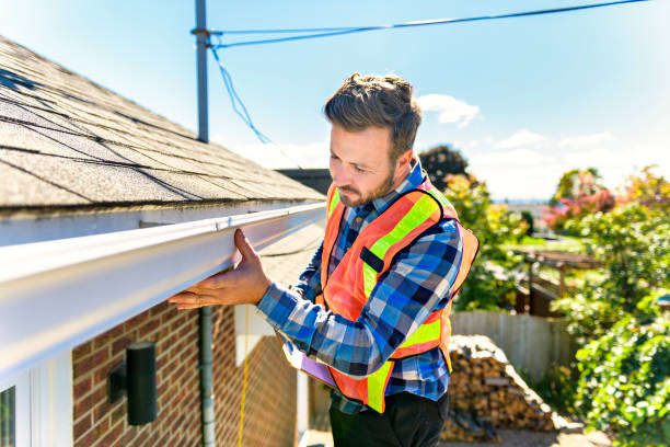 Best Skylight Installation and Repair  in Holiday Heights, NJ