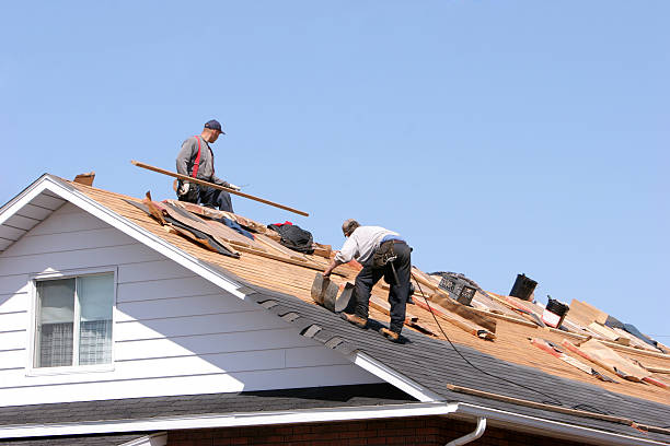 Best Gutter Installation and Repair  in Holiday Heights, NJ
