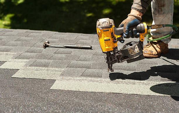 Best Roof Insulation Installation  in Holiday Heights, NJ